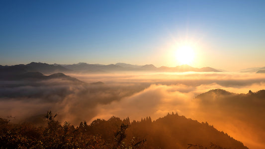 Rise sun Scenery